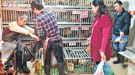 黃貝嶺街市雞檔昨照常營業，照樣有市民前來購買雞鴨等家禽。（張琦攝）