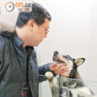 陳先生與愛犬重聚，稱是最好的禮物。