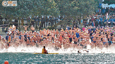 逾二千三百名泳手參加元旦冬泳。（何天成攝）