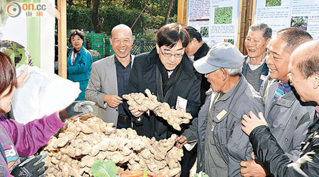 高永文（左二）畀舊足足有成呎長嘅巨型本地薑深深吸引。