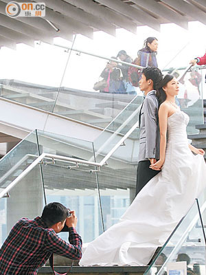 天公作美，一對新人昨在陽光下拍攝結婚照。（陸智豪攝）