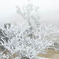 廣東<br>河源雷達站呈現「百里雪封」景象。（互聯網圖片）