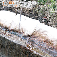 油污由去水渠旁的泥土滲出，吸油紙被染為啡色。