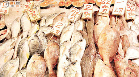 日本專家指年老男性可多吃魚增加攝取動物蛋白，有助預防疾病。