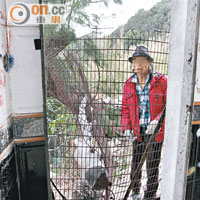 記者採訪當日，一名男子曾在石屋出現。（資料圖片）