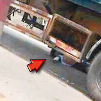 「士沙」在中山港大橋被捲入貨櫃車底遭輾斃（箭嘴示）。（互聯網圖片）