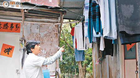 劉先生租用大埔沙埔仔村一幅農地，卻發現農地竟被建成多間寮屋。