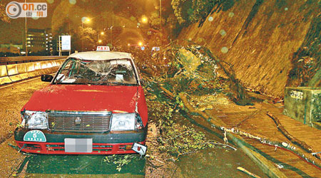 香港仔<br>的士在香港仔石排灣道被塌下大樹擊中嚴重損毀。（呂浩鋒攝）