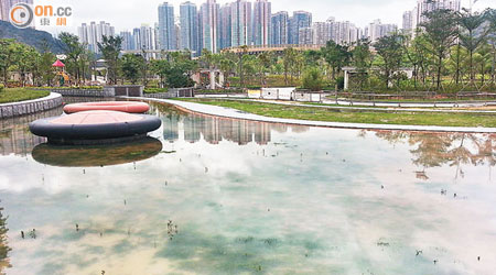 香港單車館公園草地平台仍在施工，大雨下變成水池，孳生吸血雌蠓。