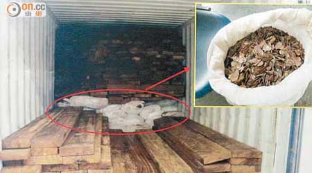 報稱載木材貨櫃揭發藏穿山甲鱗片。