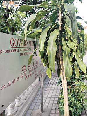 霸佔政府土地擴建的長霞淨院，用植物遮掩地政總署警告牌。（朱先儒攝）