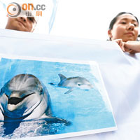 保護中華白海豚，反對機場建第三條跑道，也是部分遊行人士的訴求。