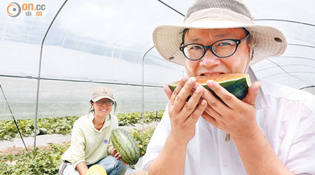 陳益民（右）指來自越南的橙黃肉西瓜「鳳姬」多汁爽脆，很受市民歡迎。（何頴賢攝）