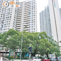 翠屏南邨近年鼠患問題嚴重，居民飽受困擾。