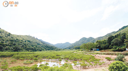 政府希望透過補地價仲裁機制，加快發展商將農地轉為住宅發展。（資料圖片）