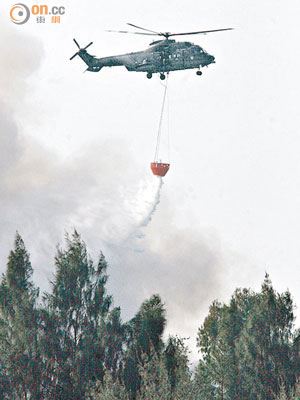 超級美洲豹直升機經常參與撲救山火。（資料圖片）