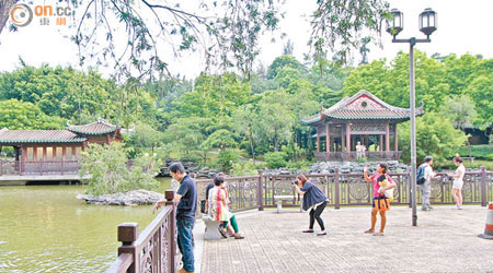 荔枝角公園<br>暑假期間，不少遊人在荔枝角公園玩樂，園內的蚊紙上滿布蚊屍。