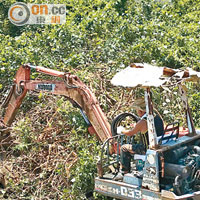 除鋤頭外，村民亦動用挖泥機剷除紅樹林。