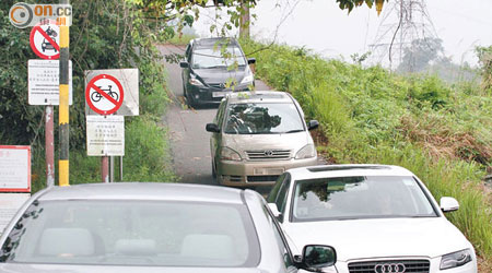 河背<br>多輛未有展示許可證的私家車，進出禁止汽車駛入的河背村山路。