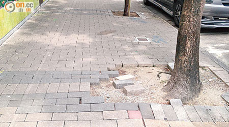 荔枝角福榮街行人路路磚缺損嚴重，疑與樹根成長有關。
