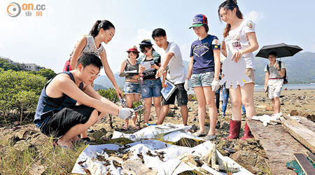 義工參加「育養海岸」計劃，作生態調查及清理垃圾。（蘇文傑攝）