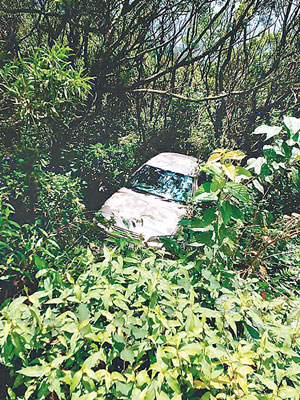 失事私家車衝落山坡。（互聯網圖片）