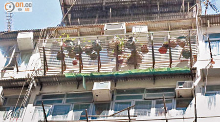 深水埗汝州街舊樓有住戶違規僭建花架，並放有近二十盆盆栽。