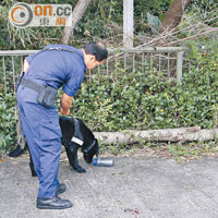 案發現場遺下血漬及水樽，警犬在場協助搜證。