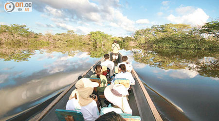 考察團在亞馬遜河上觀察雨林的物種。（受訪者提供）