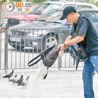有途人在長沙灣站口餵飼，吸引大量白鴿。