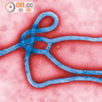 美國專家預計伊波拉病毒即將殺入中國。