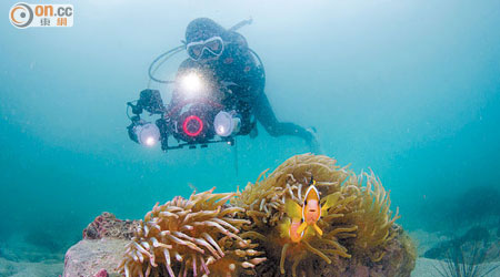 攝影標準及廣角照片組評審大獎作品，展示潛水人士小心遠觀和拍攝珊瑚群落，帶出愛護海洋生態的訊息。
