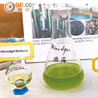 每公升污水可培植逾一點二克藻粉（右），可提煉三百一十六毫克生物柴油（左）。