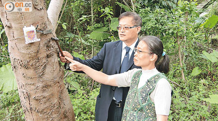 趙紹惠（右）稱，護樹監控系統可打擊非法砍樹及監控病樹倒塌風險。左為鄭進雄。