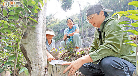 民間自發組織土沉香保護隊，對付日益猖獗的斬樹黨。