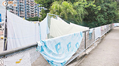 青衣寮肚路欄杆常有非法晾曬衣物，被指影響道路安全。