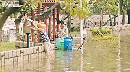 ○八年大澳受千年一遇的「黑雨」癱瘓，此情況將來或於市區發生。