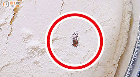 食環署事隔三個月始證實奶粉內黑色物體為蟑螂（紅圈示）殘骸。