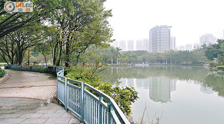 天水圍公園人工湖佔地一萬平方米，並有數百魚龜生活。