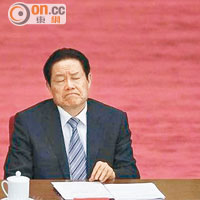 前政治局常委<br>前中央政法委書記<br>周永康