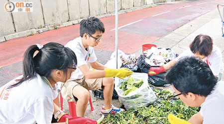 綠領行動成員在正街街市商販丟棄的食物中，搜尋仍可食用的食材。