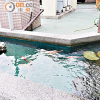 銅鑼灣<br>銅鑼灣消防局的靴形魚池有流水及小石山設計。(朱先儒攝)
