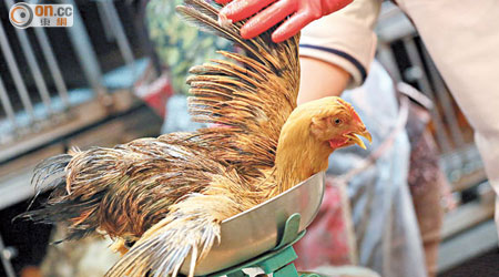 內地活雞恢復供港有助降低農曆新年雞價上升幅度。