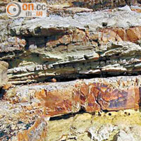 副狼鰭魚化石從荔枝莊石層出土。