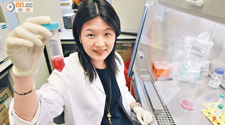 馬桂宜及其團隊發現肝癌幹細胞有一種表面蛋白，令癌細胞增生和對抗化療藥物。（陳德賢攝）