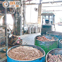 大塘湖村豬油廠每天回收大量豬膏製成豬油及豬油渣。
