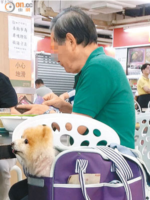 市民發現有食客攜同狗隻進入廣田街市熟食中心，被指有礙環境衞生。（讀者提供）