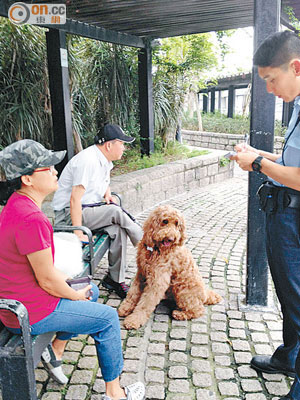 狗主唐婦事後為貴婦狗扣回狗帶，並向警員講述事件經過。（蘇偉明攝）