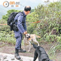其中兩隻警犬到飛鵝山協助搜索。