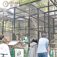 「變身」計劃研取締園內鐵籠，騰出空間擴建動物居所，讓動物住得舒適，遊人看得自然。